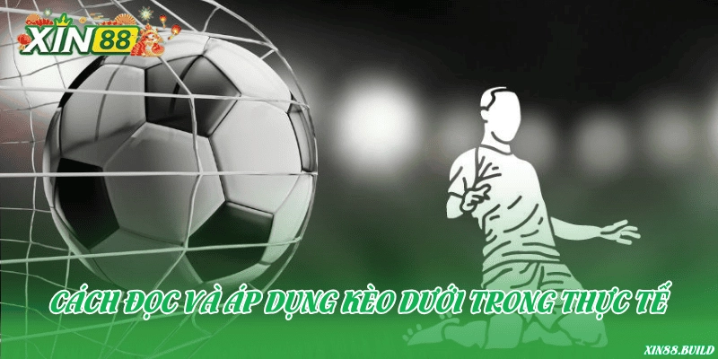 Cách đọc và áp dụng kèo dưới trong thực tế