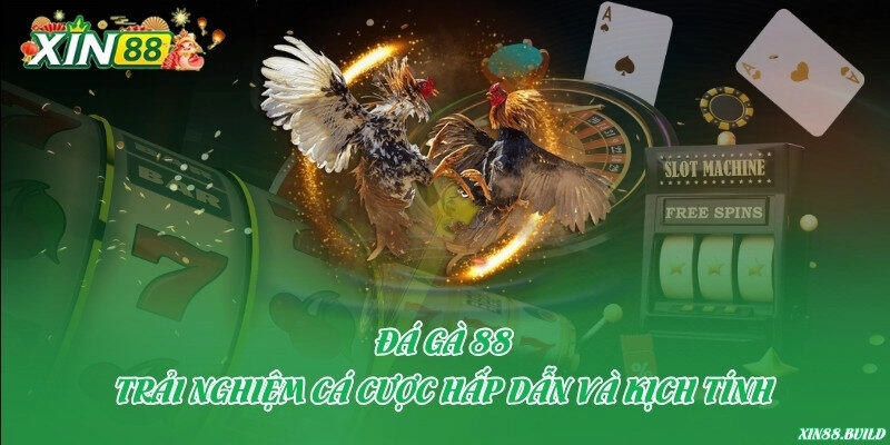 Đá gà 88 – Trải nghiệm cá cược hấp dẫn và kịch tính