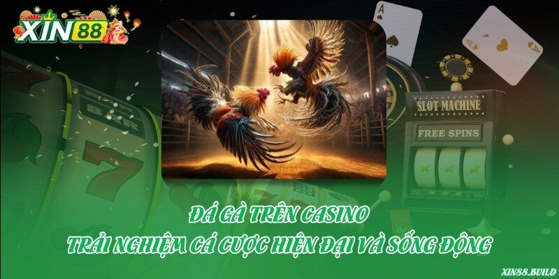 Đá gà trên casino – Trải nghiệm cá cược hiện đại và sống động